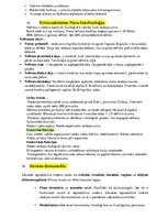 Konspekts 'Histoloģija - konspekts RSU 1.kursam', 26.