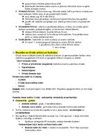 Konspekts 'Histoloģija - konspekts RSU 1.kursam', 28.