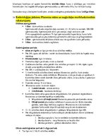 Konspekts 'Histoloģija - konspekts RSU 1.kursam', 30.