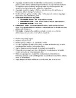 Konspekts 'Histoloģija - konspekts RSU 1.kursam', 31.