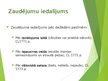 Prezentācija 'Zaudējumu specifika, paredzamības princips', 4.
