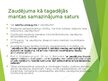 Prezentācija 'Zaudējumu specifika, paredzamības princips', 14.