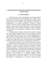 Referāts 'Pamatražošanas procesa organizēšana', 12.