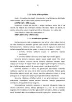 Referāts 'Pamatražošanas procesa organizēšana', 16.