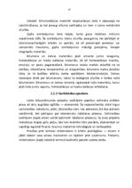 Referāts 'Pamatražošanas procesa organizēšana', 17.