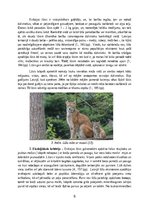 Referāts 'Eirāzijas lūsis', 6.