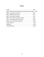 Referāts 'Mātes tēls latviešu literatūrā', 2.