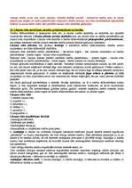 Konspekts 'Valsts eksāmena atbildes tiesību teorijā, vēsturē un tiesību filosofijā', 25.