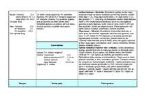 Prakses atskaite 'Prakse farmācijā', 16.