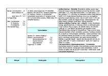 Prakses atskaite 'Prakse farmācijā', 17.