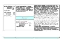 Prakses atskaite 'Prakse farmācijā', 23.