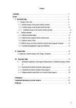 Referāts 'Netradicionāli metodiskie paņēmieni fizikas apguvē, pamatojoties uz skolēnu atmi', 4.