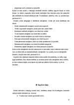 Referāts 'Netradicionāli metodiskie paņēmieni fizikas apguvē, pamatojoties uz skolēnu atmi', 19.