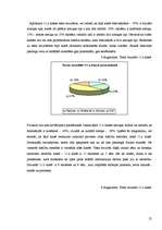 Referāts 'Netradicionāli metodiskie paņēmieni fizikas apguvē, pamatojoties uz skolēnu atmi', 25.