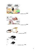 Referāts 'Netradicionāli metodiskie paņēmieni fizikas apguvē, pamatojoties uz skolēnu atmi', 50.