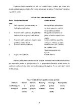 Diplomdarbs 'Debitoru parādu vadība', 29.