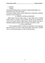 Prakses atskaite 'Prakses atskaite lietvedībā', 11.