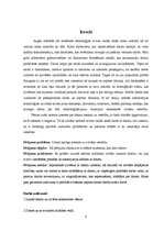 Referāts 'Dators un tā ietekme uz cilvēka veselību', 3.