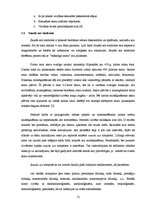 Referāts 'Dators un tā ietekme uz cilvēka veselību', 12.