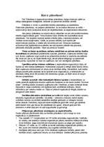 Konspekts 'Plānošana', 1.