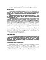 Konspekts 'Somugri neolītā: Spēringas, Volgas-Kamas, ķemmes-bedrīšu keramikas (Ļjalovas) ku', 1.