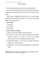 Referāts 'Nodokļu sistēma Latvijā', 21.