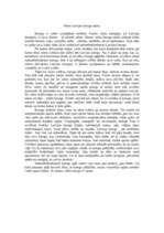 Eseja 'Mans Latvijas karoga stāsts', 1.