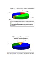 Referāts 'Reklāmas satura un faktiskā izpildījuma novērtējums uzņēmumā SIA "LMT"', 25.