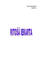 Referāts 'Ritošā iekārta', 1.