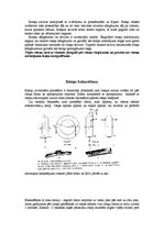 Referāts 'Ritošā iekārta', 12.