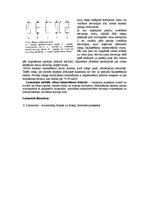 Referāts 'Ritošā iekārta', 13.