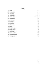 Referāts 'Šarlotes Brontē grāmatas "Džeina Eira" analīze', 2.