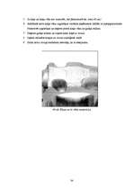 Referāts 'Automašīnas "Mazda 626 V6" 2.5l motora galveno sastāvdaļu remonta tehnoloģija', 32.