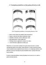 Referāts 'Automašīnas "Mazda 626 V6" 2.5l motora galveno sastāvdaļu remonta tehnoloģija', 41.