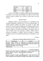 Diplomdarbs 'Reklāma un tās izmantošana uzņēmējdarbībā', 19.