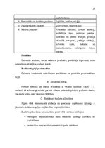 Diplomdarbs 'Reklāma un tās izmantošana uzņēmējdarbībā', 26.