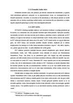 Referāts 'Kā ikdiena iespaido jauniešu reproduktīvo veselību', 11.