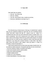 Referāts 'Jogas nozīme mūsdienu Latvijas kultūrā', 8.