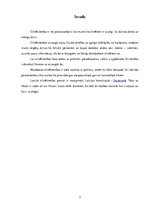 Referāts 'Cilvēktiesības', 3.