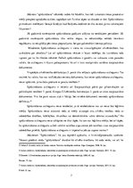 Referāts 'Cilvēktiesības', 7.