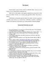 Referāts 'Cilvēktiesības', 13.