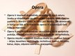 Prezentācija 'Operas un baleta darbība', 6.