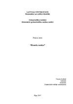 Prakses atskaite 'A/s finanšu analīze', 1.