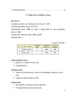 Biznesa plāns 'SIA "Play"', 3.