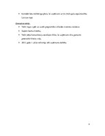 Biznesa plāns 'SIA "Play"', 4.