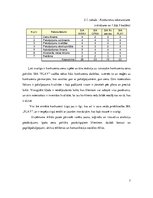 Biznesa plāns 'SIA "Play"', 7.