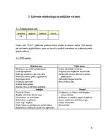 Biznesa plāns 'SIA "Play"', 8.