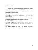 Biznesa plāns 'SIA "Play"', 9.