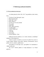 Biznesa plāns 'SIA "Play"', 13.