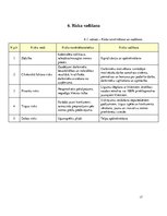 Biznesa plāns 'SIA "Play"', 17.